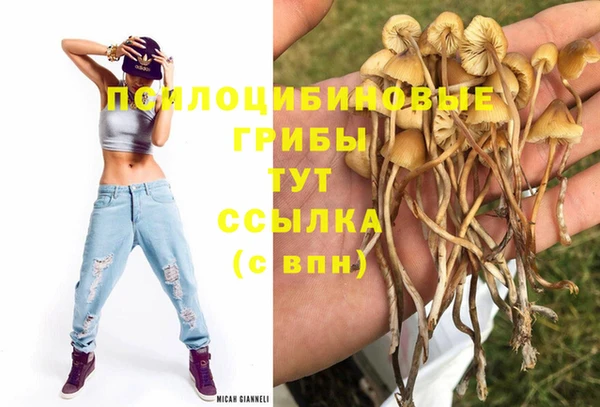 бутират Верхний Тагил